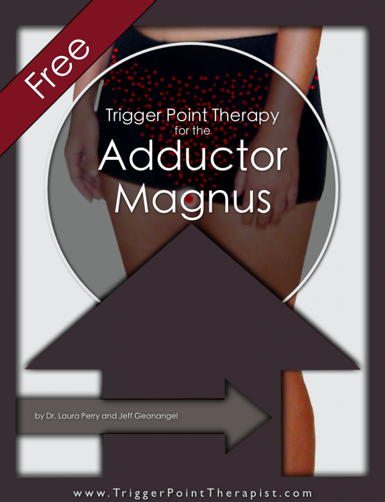 Trigger Point Therapy for Adductor Magnus