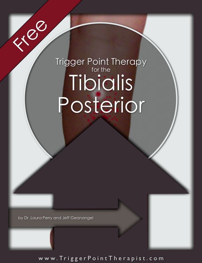 Trigger Point Therapy for Tibialis Posterior