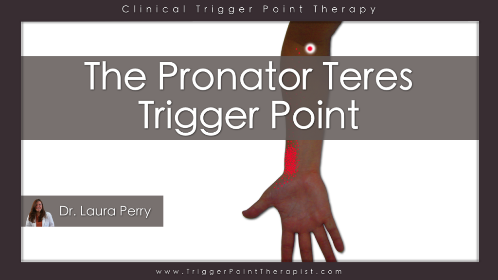 Trigger Point Video for Pronator Teres Muscle | TriggerPointTherapist.com