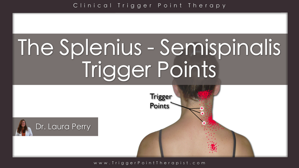 Trigger Point Therapy for Splenius and Semispinalis Muscles