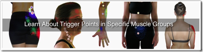 Trigger Points in Muscles Directory