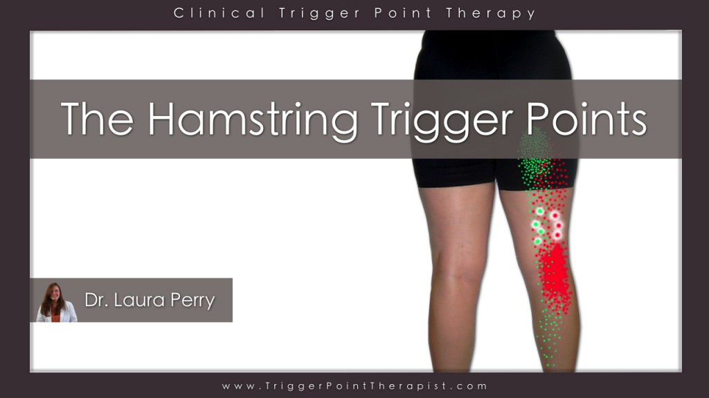 Hamstring Trigger Points Video