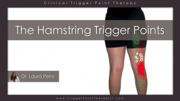 The Hamstring Trigger Points: Hiding in Plain Sight