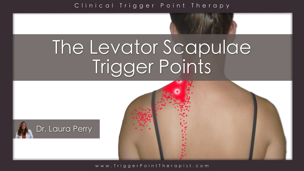 Levator Scapula Trigger Points Video