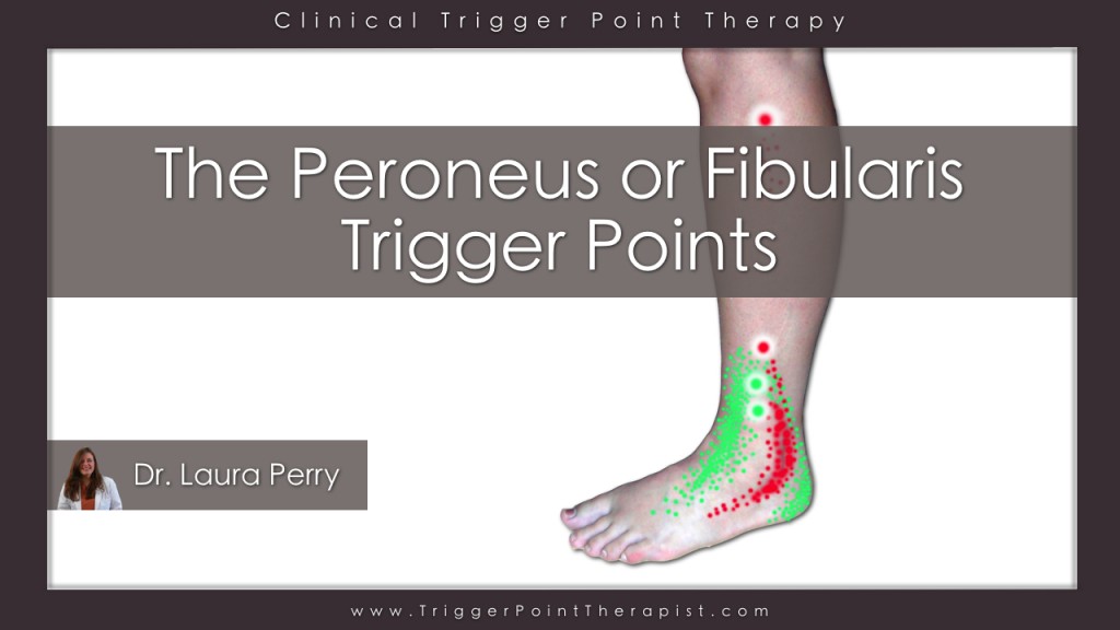 Peroneous (Fibularis) Trigger Points: An Overlooked Source of Ankle