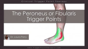 The Peroneal Trigger Points: An Overlooked Source of Ankle Pain