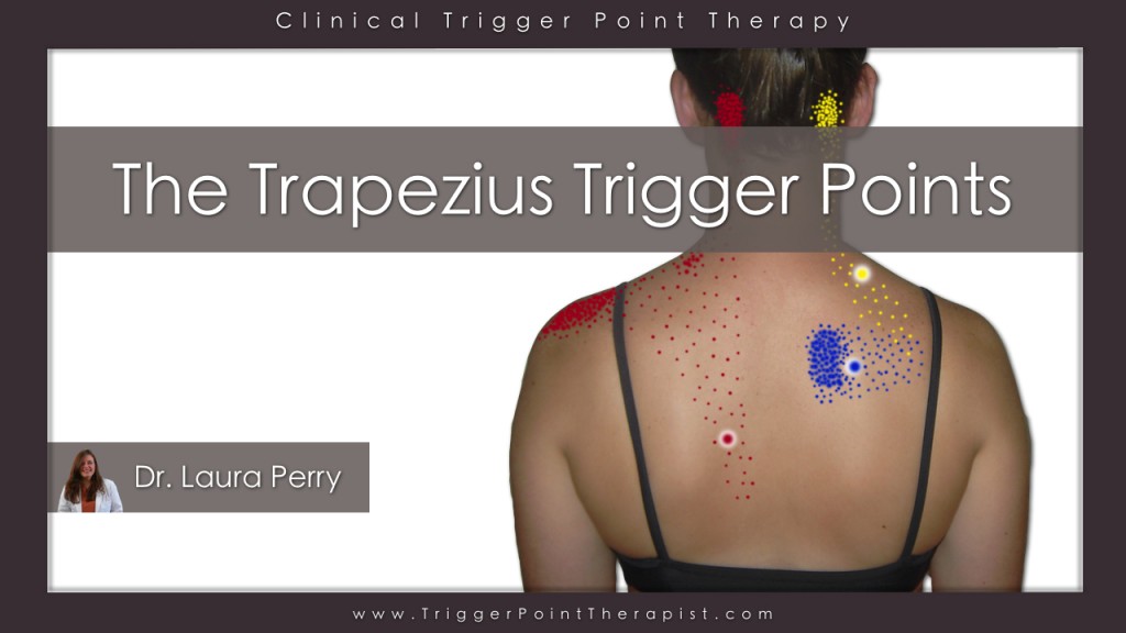 Link to Trapezius Pain and Trigger Points Video