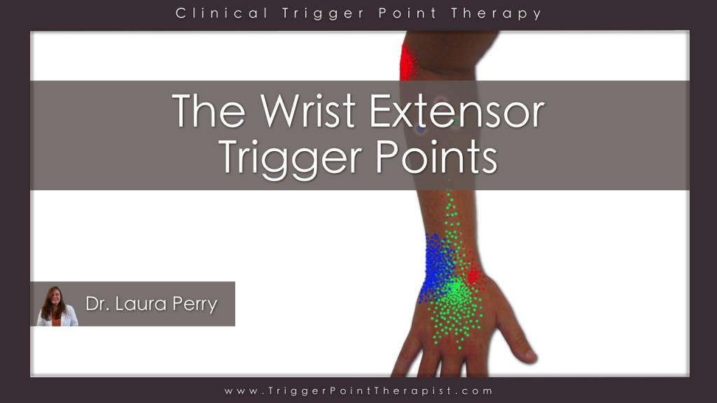 Trigger Point Therapy for Wrist Extensors