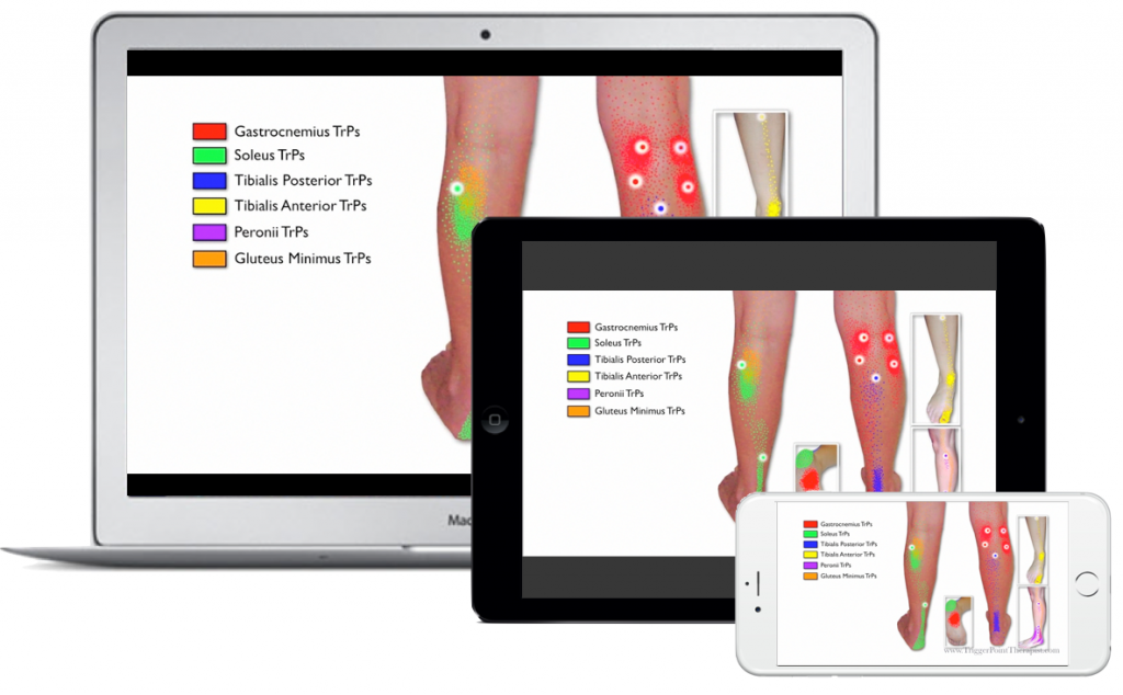 Image for Trigger Point Therapy for Lower Leg & Foot Pain Video