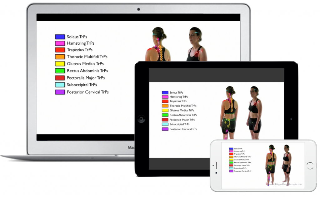 Image for Trigger Point Therapy for Stress Relief & Postural Correction Video