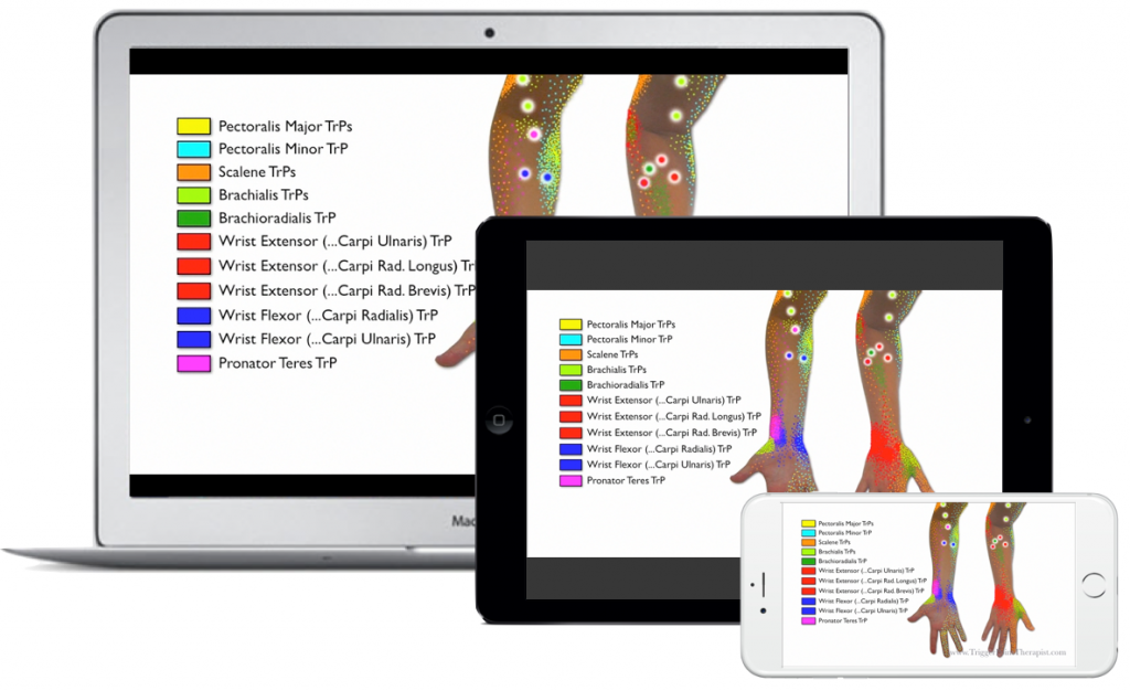 Image for Trigger Point Therapy for Wrist & Hand Pain Video