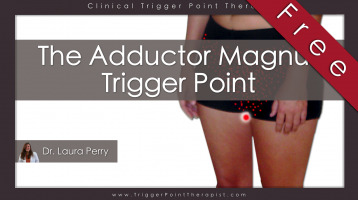 Adductor Magnus Trigger Point: The PMS Trigger Point