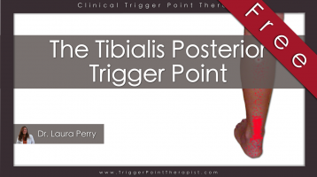 Tibialis Posterior Trigger Point: Sneaky Achilles Tendonitis