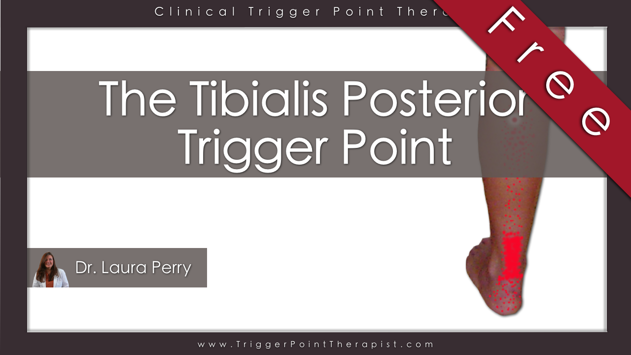 Tibialis Posterior Trigger Point Runner's Achilles Tendonitis