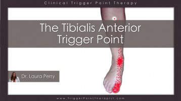 Tibialis Anterior Trigger Point: The Foot Drop Trigger Point